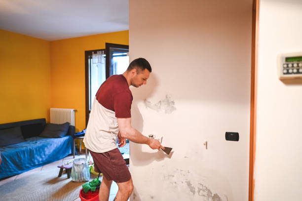 Best Water Damage Restoration  in Newport, VT