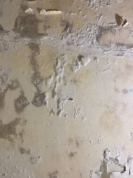 Water Damage Restoration in Newport, VT