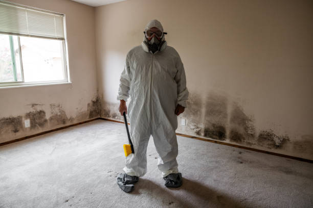 Best Emergency Mold Removal  in Newport, VT